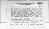 Uromyces viciae-fabae image